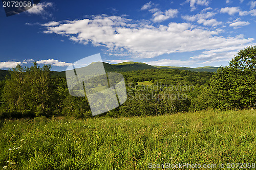 Image of Carpathians mountains panoramic