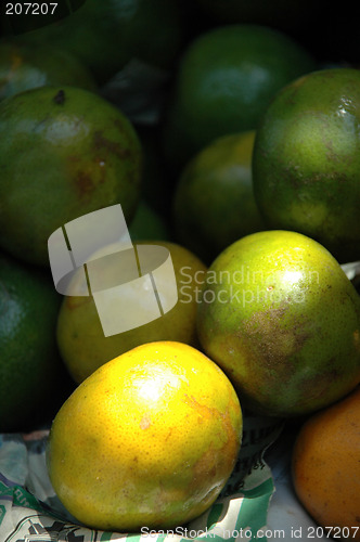 Image of Pile of citrus