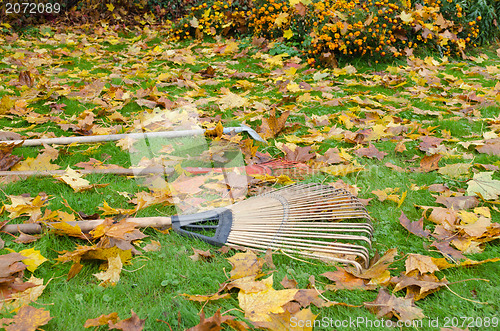 Image of rake tools lie autumn meadow ground color leaves 