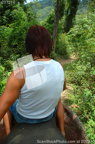 Image of Elephant trekking