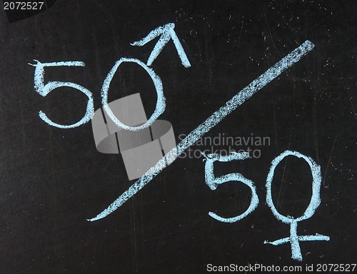 Image of Fifty percent concept of gender equal opportunities