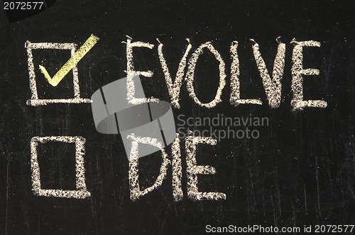 Image of Chalk drawing - Evolve or die 