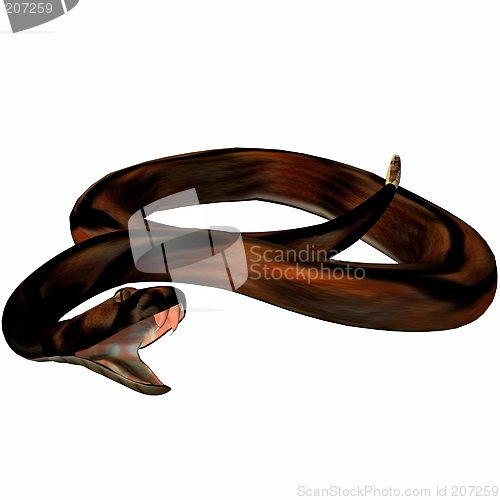 Image of Snake-Diamondblack