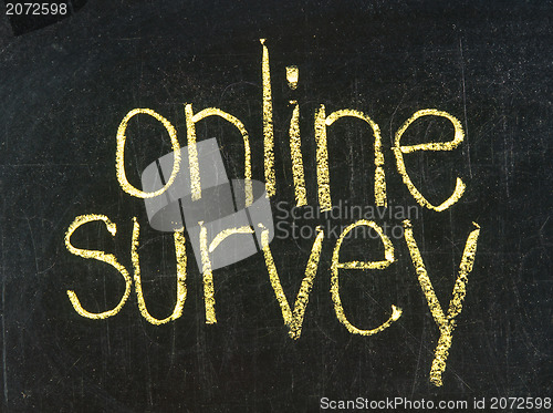 Image of online survey