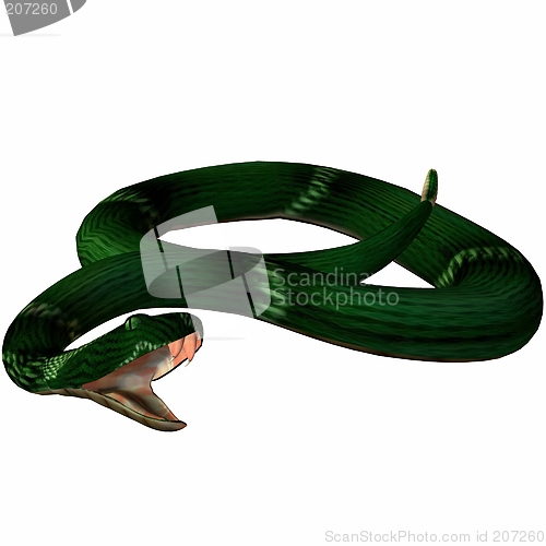 Image of Snake-Temple Viper