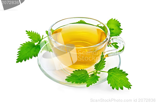 Image of Herbal tea with nettles