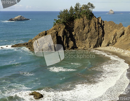 Image of Pacific Coast, Oregon