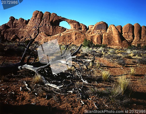 Image of Arches National Park, Utah