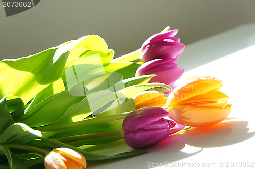 Image of Bouquet of tulips