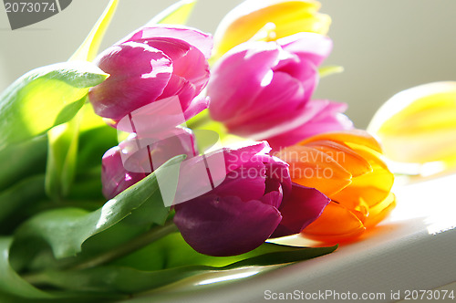 Image of Tulips mix