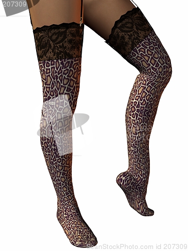 Image of Stockings