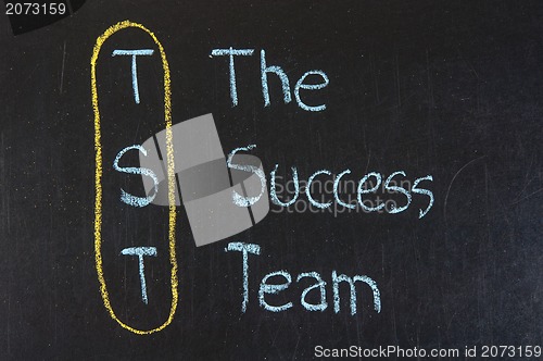 Image of TST acronym The Success Team