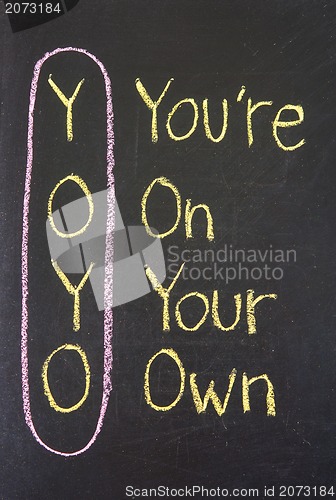 Image of  yoyo - you are on your own