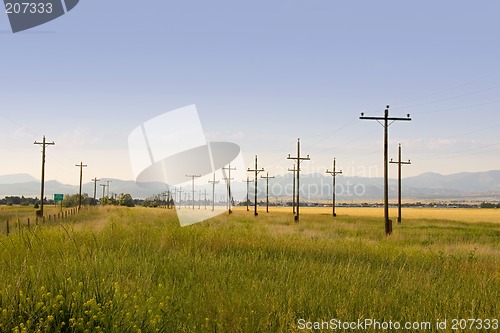 Image of Electric Poles in Perspective - Country