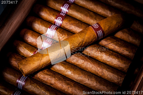 Image of Cigars in humidor