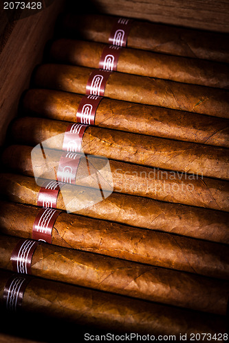 Image of Cigars in humidor