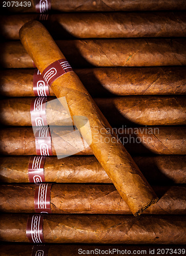 Image of Cigars in humidor