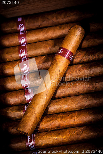 Image of Cigars in humidor