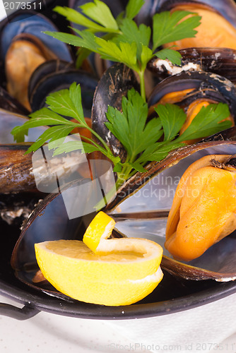 Image of Mussels