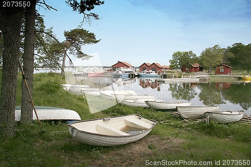 Image of Nature Landscape