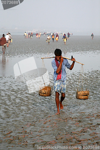 Image of The signal of mobile phone covers and most remote parts of the Sundarbans jungles, West Bengal, India