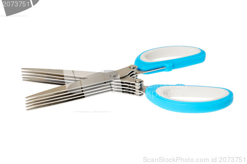 Image of Scissors for green