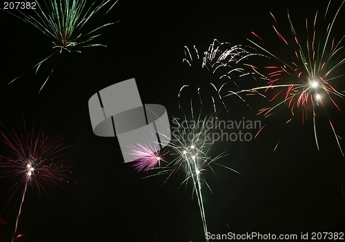 Image of Firework