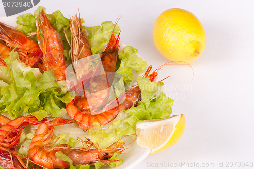 Image of Grilled prawns