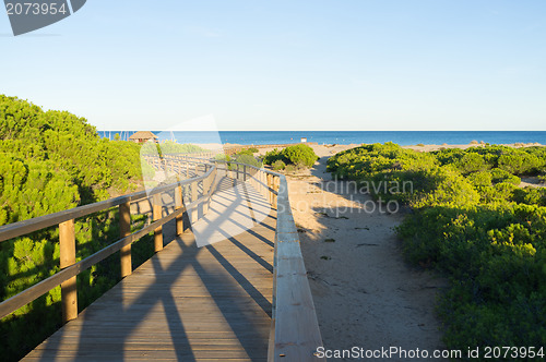 Image of Carabassi beach