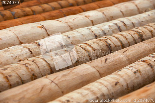 Image of Logs of palm trees - material for tropical construction