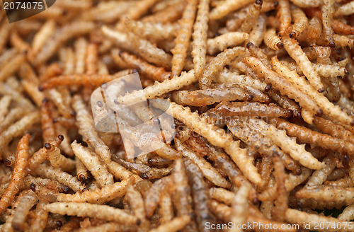 Image of Fried edible larvae close-up