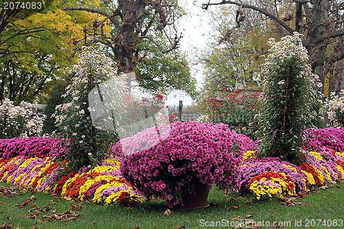 Image of Flowers