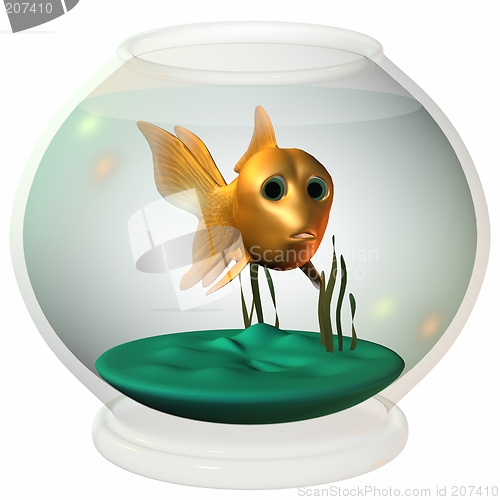 Image of Toonimal Fish-Goldy
