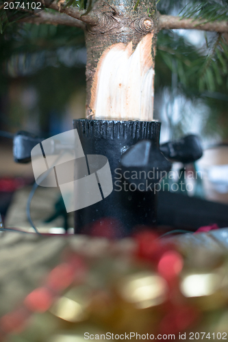 Image of Under the Christmas tree