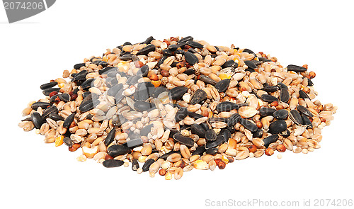 Image of Pile of bird seed including sunflower seeds, wheat and maize