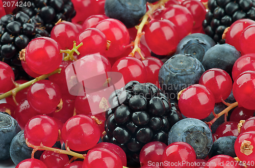 Image of Berries Background