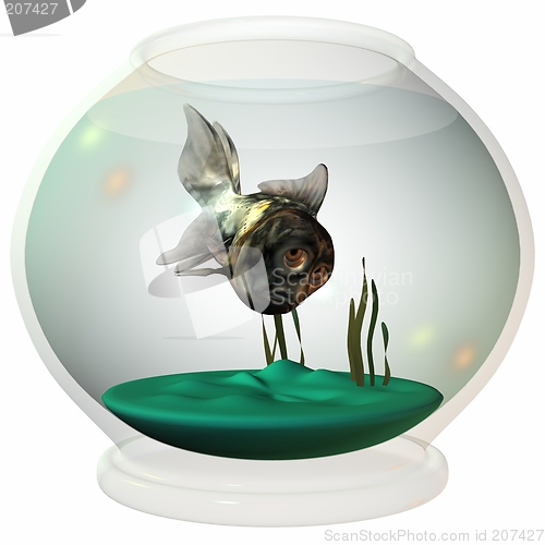 Image of Toonimal Fish-Sulking