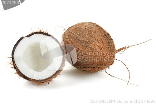 Image of Coconut on a white background 