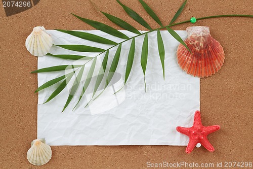 Image of Background with blank crumpled paper, seashells, palm leave and seashell