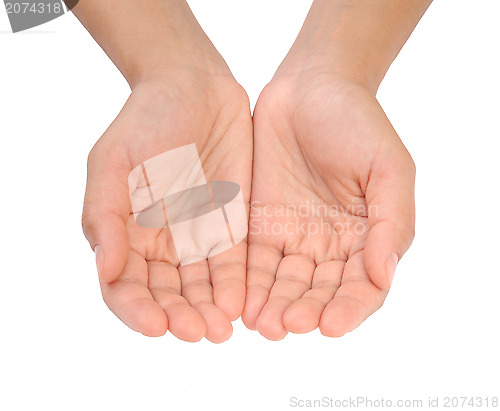 Image of Cupped hands of young woman - isolated on white background