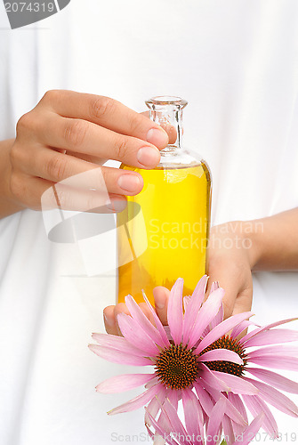 Image of Hands of young woman holding essential oil and fresh coneflowers