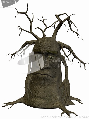 Image of Toon Tree - Poor Me