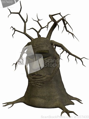 Image of Toon Tree - Sleeping