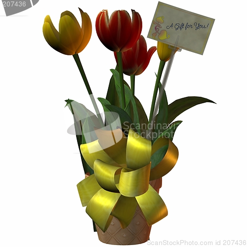 Image of Tulip