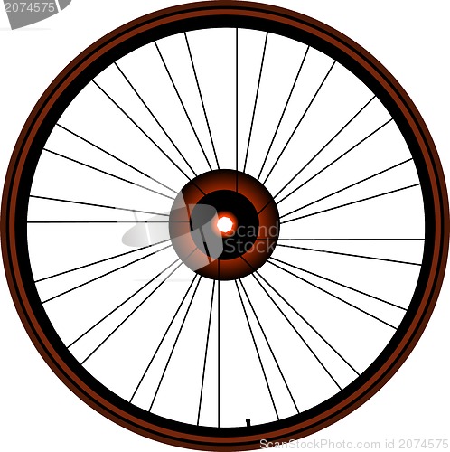 Image of bike wheel with tire and spokes isolated on white background