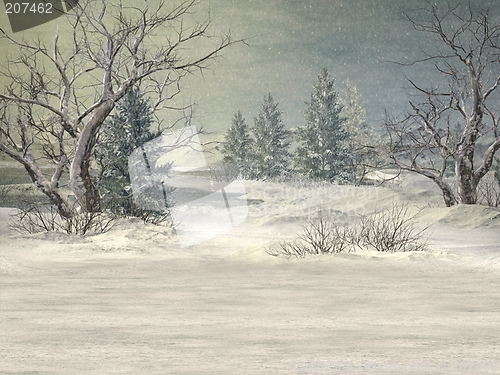 Image of Winter Wonderland Background