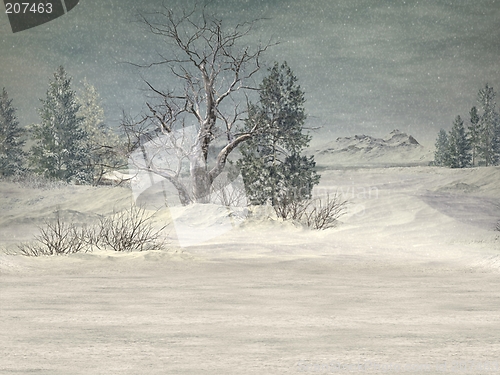 Image of Winter Wonderland Background