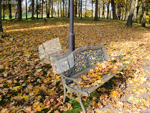 Image of retro steel bench autumn park colorful leaves 