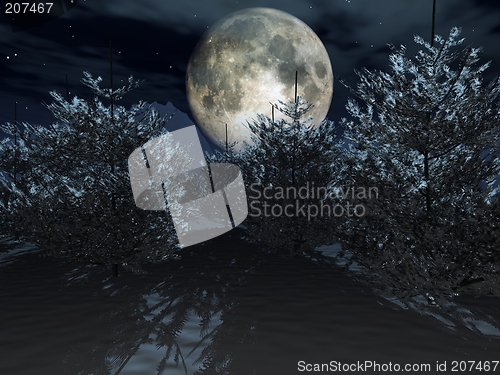 Image of Winternight