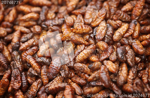 Image of Fried in oil silkworm larvae